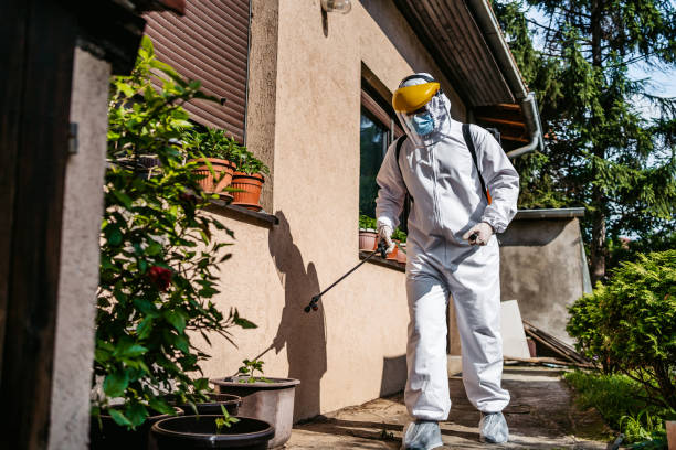 Best Emergency Pest Control  in The Dalles, OR