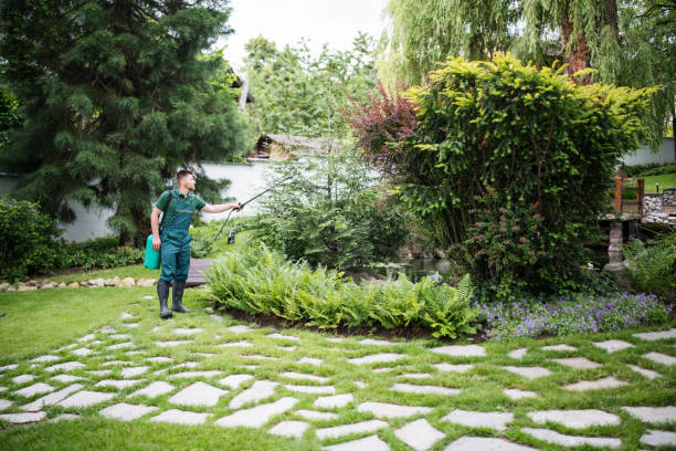 Best Pest Inspection Near Me  in The Dalles, OR