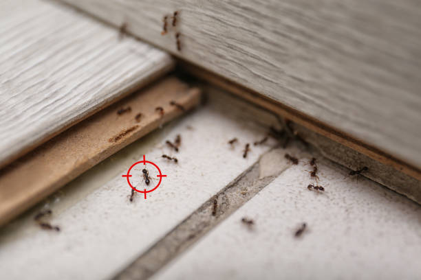 Best Commercial Pest Control Services  in The Dalles, OR