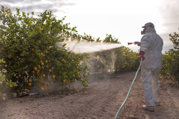 Best Affordable Pest Control Services  in The Dalles, OR