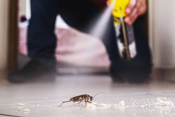 Pest Control Cost in The Dalles, OR