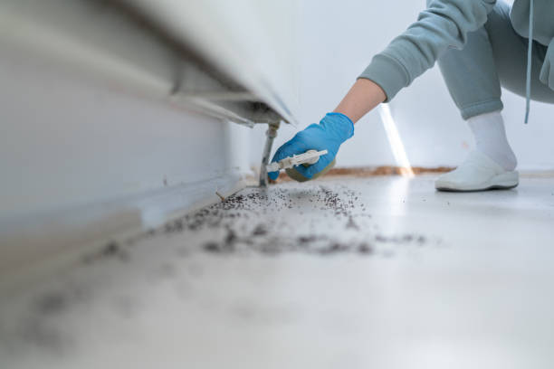  The Dalles, OR Pest Control Pros